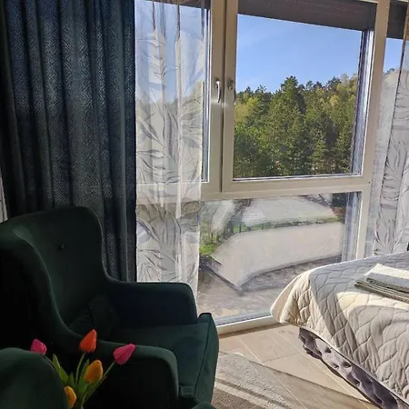 Apartament Ambijent Divčibare