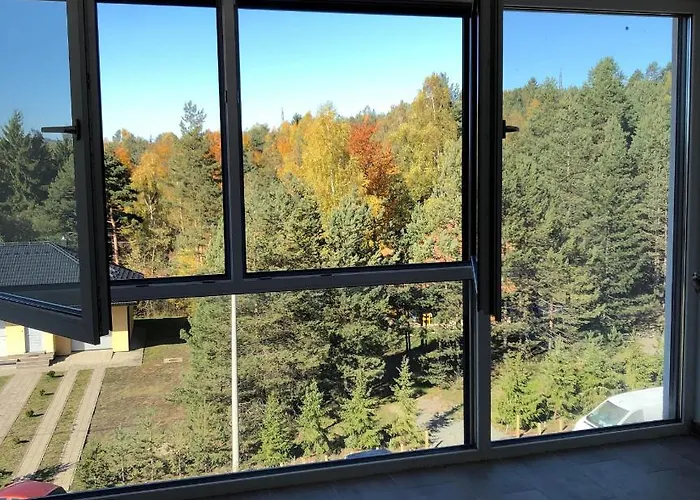 Διαμέρισμα Ambijent Divčibare